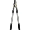 Talen Tools takkenschaar aambeeld telescopisch