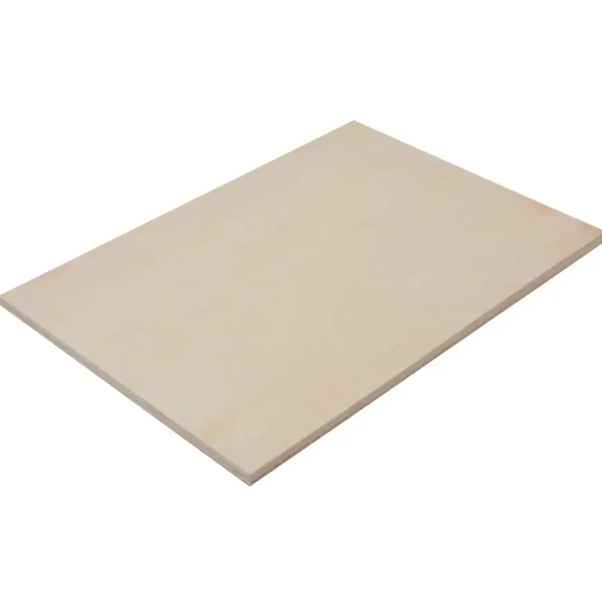 Timmerplaat multiplex 122 x 61 cm 18 mm